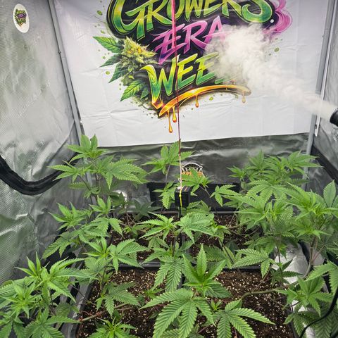 Dante's Inferno (4)  growlog timeline photo