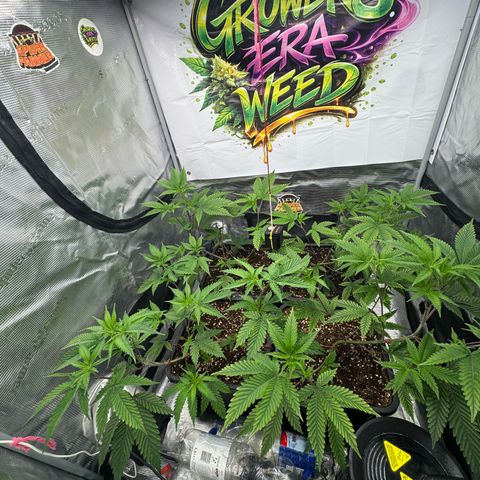 Dante's Inferno (4)  growlog timeline photo