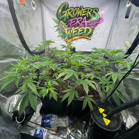 Dante's Inferno (4)  growlog timeline photo