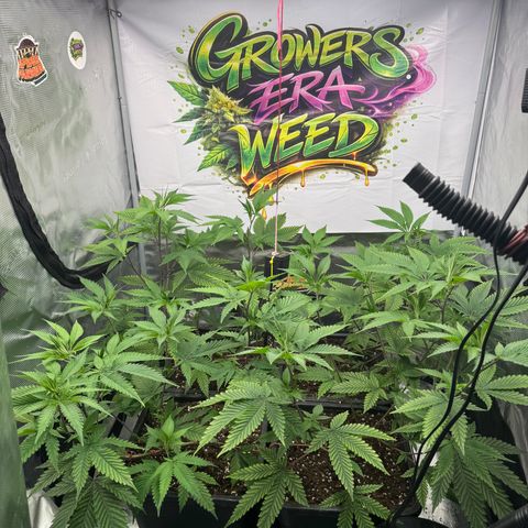 Dante's Inferno (4)  growlog timeline photo