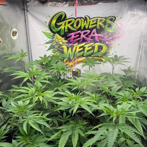 Dante's Inferno (4)  growlog timeline photo
