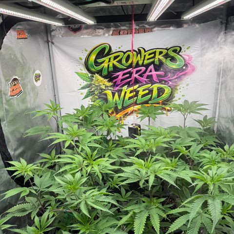 Dante's Inferno (4)  growlog timeline photo
