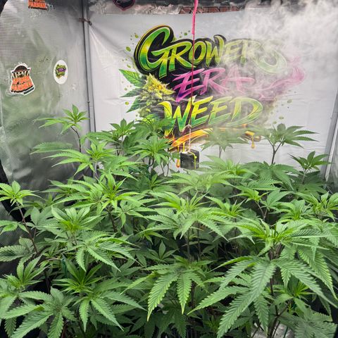Dante's Inferno (4)  growlog timeline photo