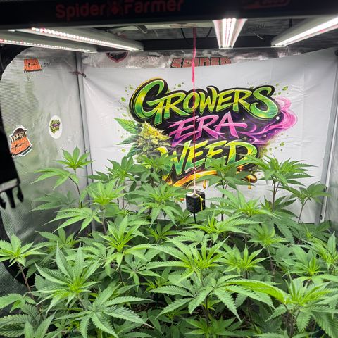 Dante's Inferno (4)  growlog timeline photo