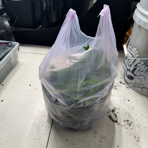 Growlog-Zeitleistenfoto von Dante's Inferno (4) 