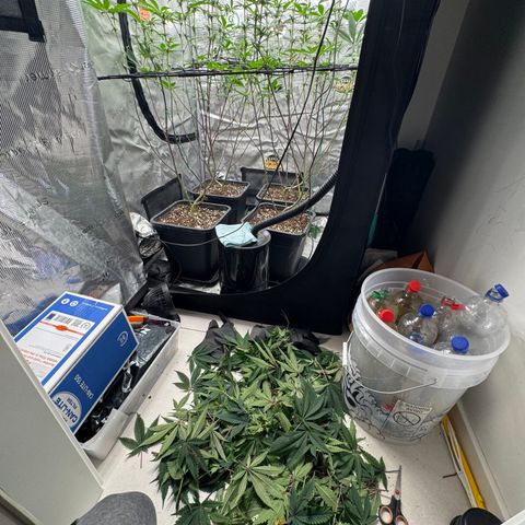 Growlog-Zeitleistenfoto von Dante's Inferno (4) 