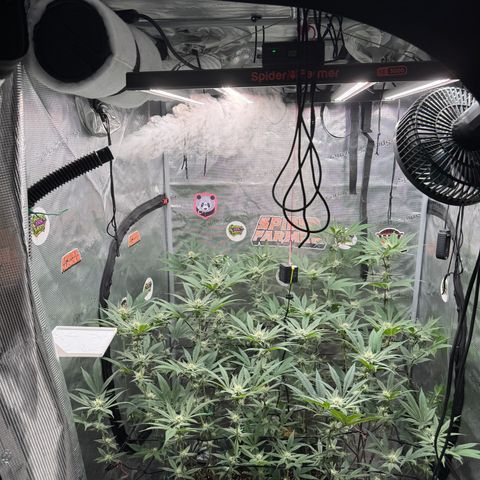 Growlog-Zeitleistenfoto von Dante's Inferno (4) 