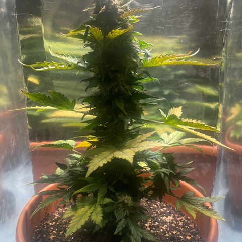 quickie 1111 growlog photo: schimmel entdeckt 