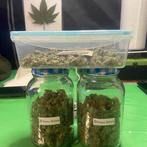 Nancy Botwin  growlog timeline photo