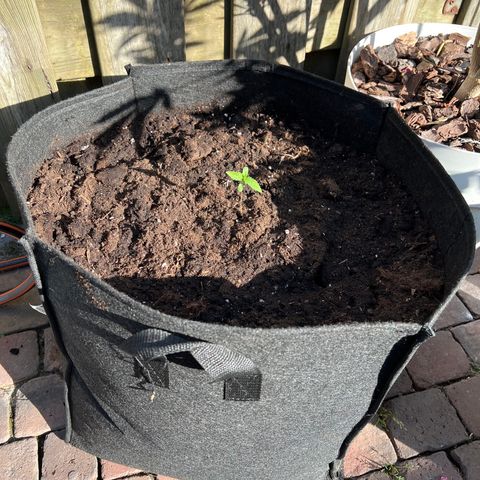 Critical G. growlog photo: Over gepot 56 liter batmix