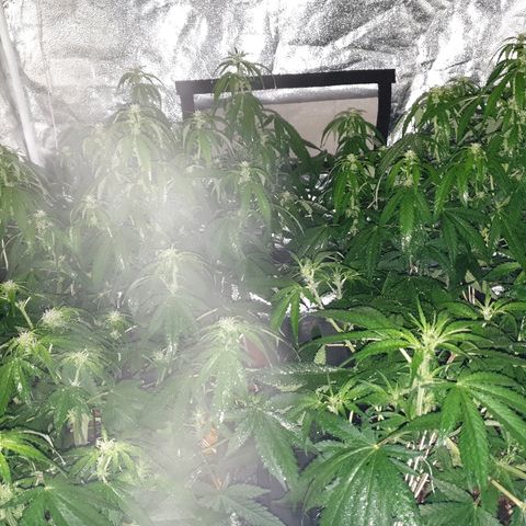Ak 47 x lowryder #1 growlog photo: Спим! Но второй день подряд вырубают свет бля!!!