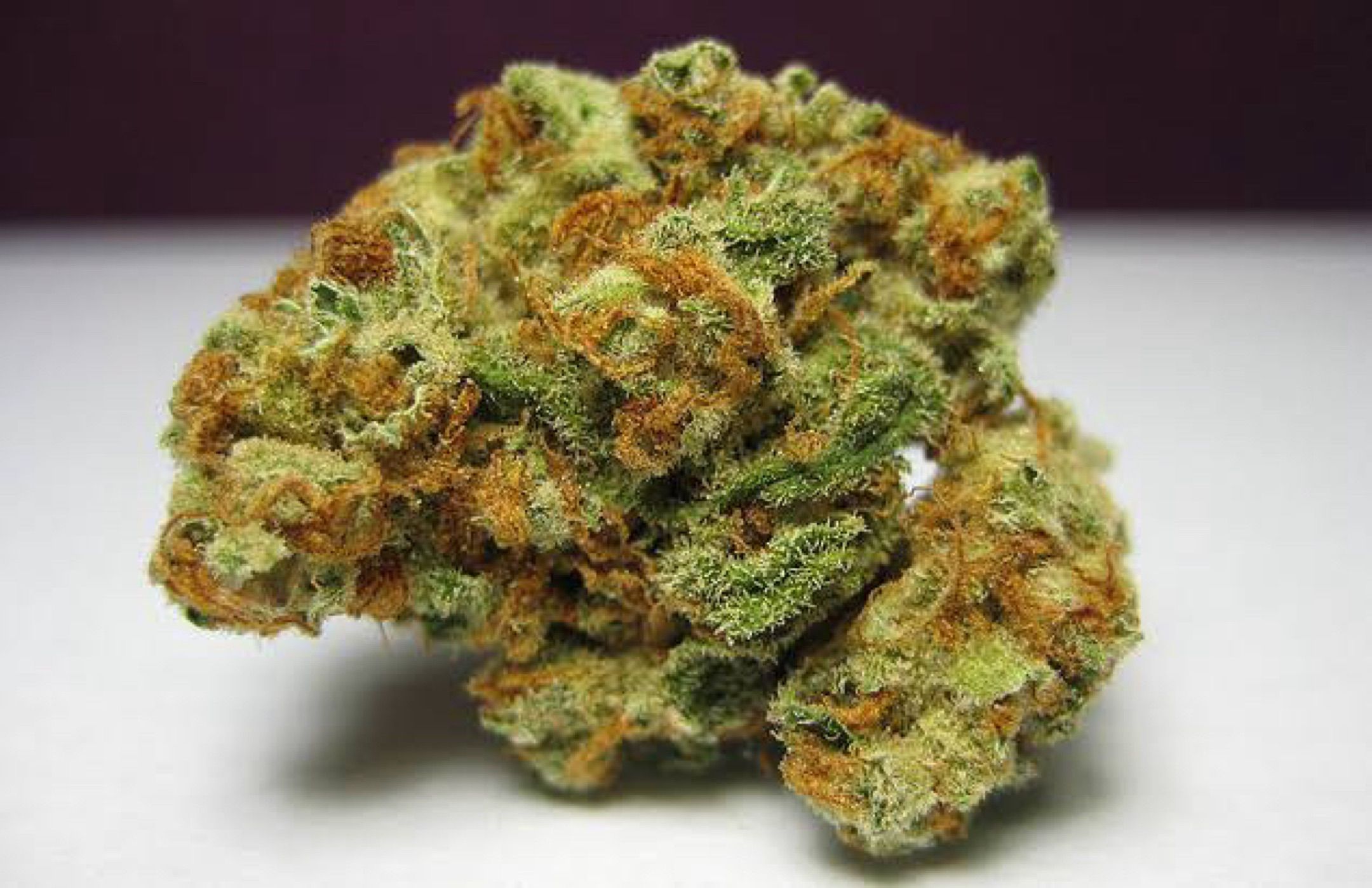 Colômbia gold growlog header