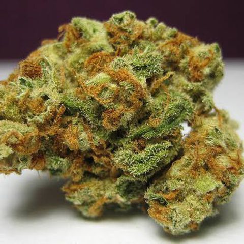 Colômbia gold growlog timeline photo