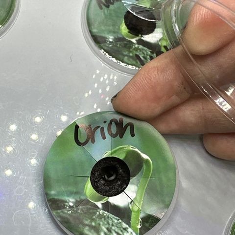 Orion growlog timeline photo