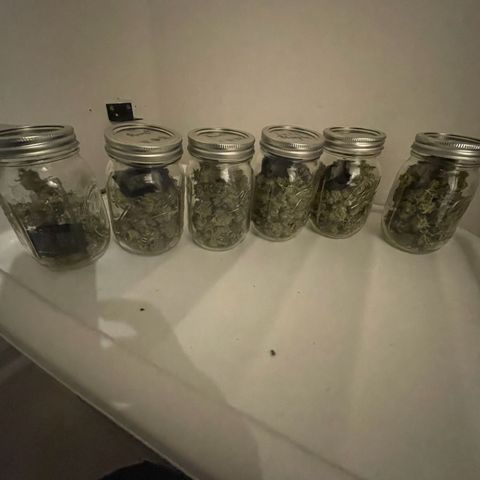 White Widow growlog photo: Final dry weight was 6 ounces bud. 1 ounce of trim and popcorn bud that I made canabutter with. 