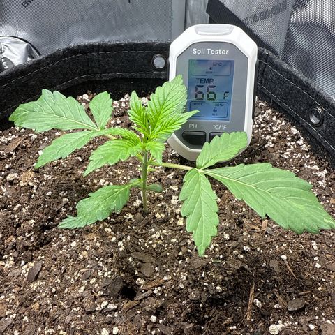 Front Right growlog timeline photo