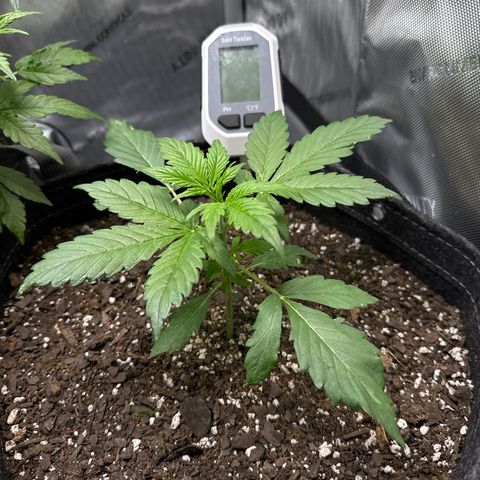 Front Right growlog timeline photo