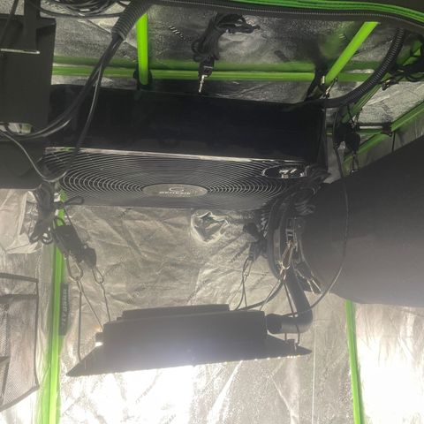 Tangie growlog photo: New 20” x 20” x 3” Box Fan