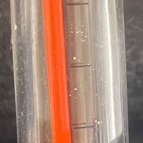 Tangie growlog timeline photo