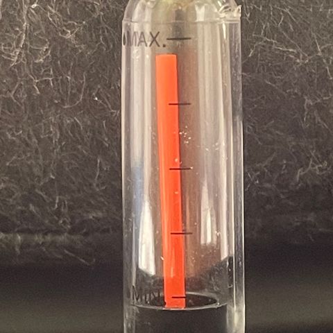 Tangie growlog timeline photo