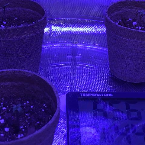 Bruce Banger  #1 growlog timeline photo