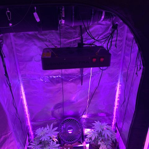 Bruce Banger  #1 growlog photo: All equipment is finally in