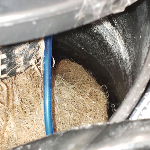 OG strain growlog photo: My roots recovered very well after no oxygen issues 🤪😃