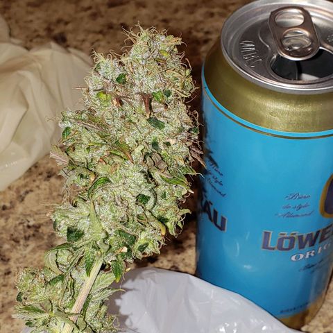 OG strain growlog timeline photo