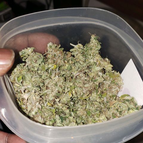OG strain growlog timeline photo
