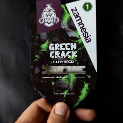 Claudia I growlog timeline photo