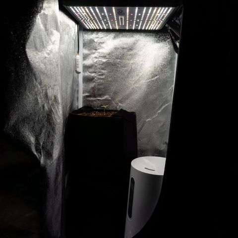 Claudia I growlog timeline photo