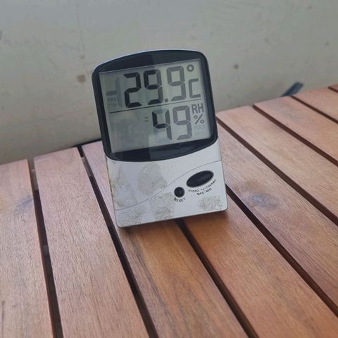 White Widow CBD (Outdoors) growlog timeline photo