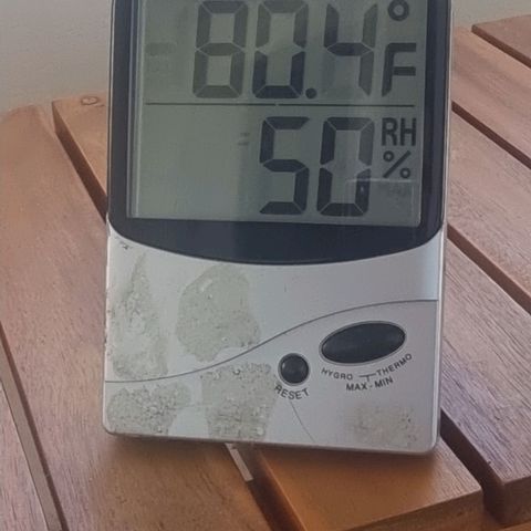 White Widow CBD (Outdoors) growlog timeline photo