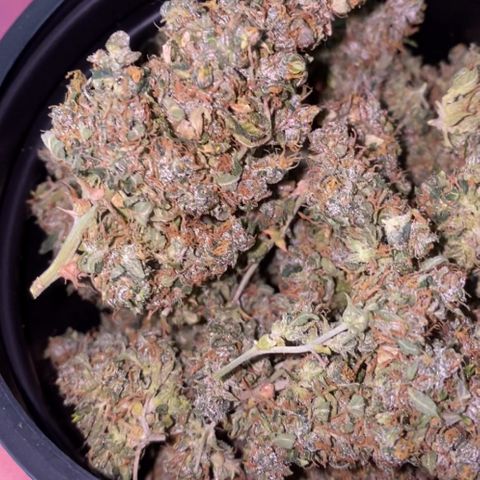 Colômbia Gold growlog timeline photo