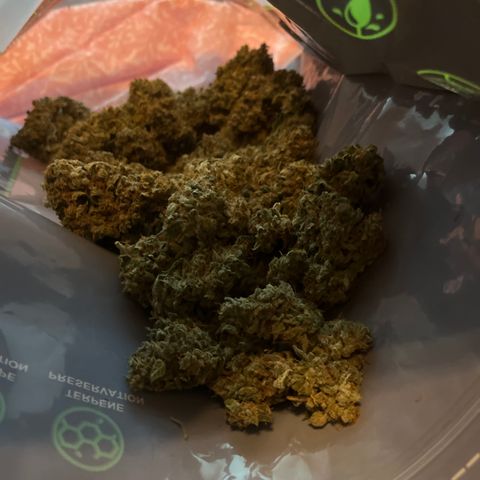 ILGM-Blue Dream Auto #2 growlog photo: Second full day of curing and I noticed that the buds are extremely sticky, so much so that they’re sticking together. They smell good and the buds are getting hard. 