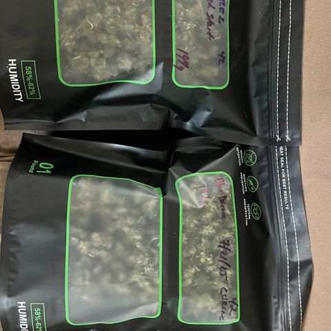 Blue Dream Auto 42-1 growlog timeline photo
