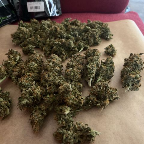 Moby growlog timeline photo