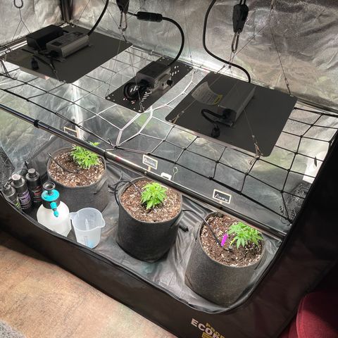 Marie growlog photo: Projekt nimmt Gestalt an 👌