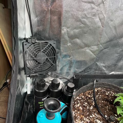 Marie growlog photo: Projekt nimmt Gestalt an 👌