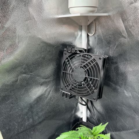 Marie growlog photo: Projekt nimmt Gestalt an 👌
