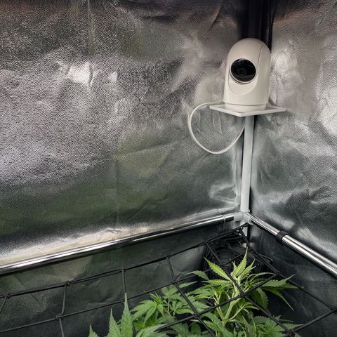 Marie growlog photo: Netz gespannt.