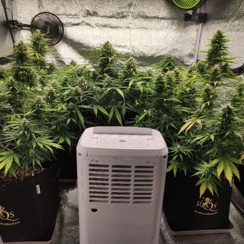 1 growlog timeline photo