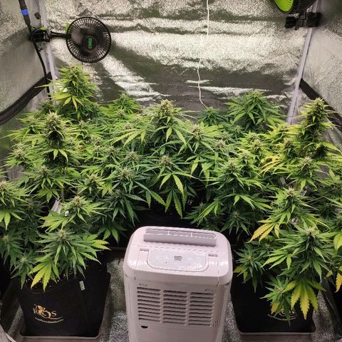 1 growlog timeline photo