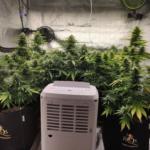 1 growlog timeline photo