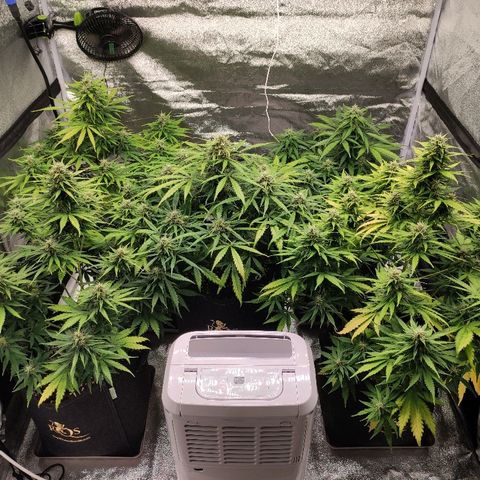 1 growlog timeline photo