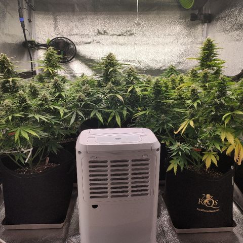 1 growlog timeline photo