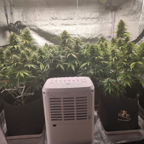 1 growlog timeline photo