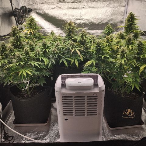 1 growlog timeline photo