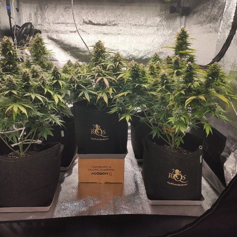 1 growlog timeline photo
