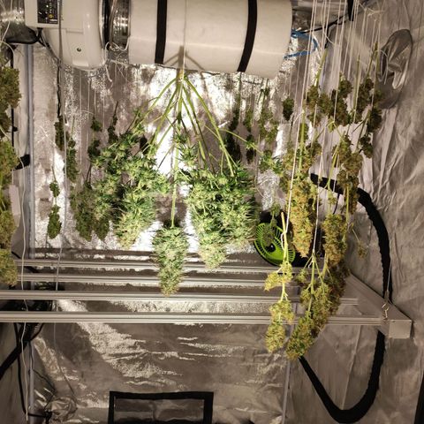 1 growlog timeline photo